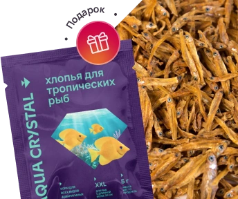 Хлопья Aqua Vitality в подарок