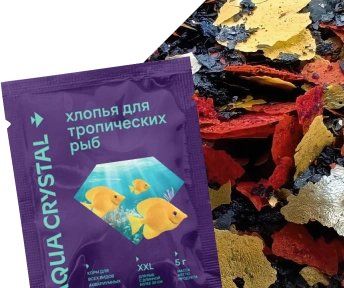 Попробуйте нашу новинку